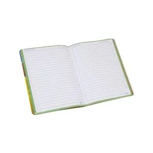 CUADERNO COSIDO D LUXE Grande 100H LINEAS CONCEPT